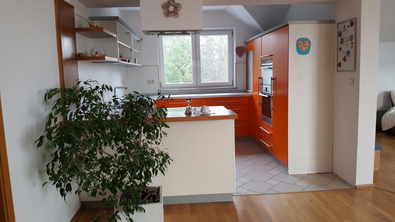 Suzana Apartment Radovljica Kültér fotó